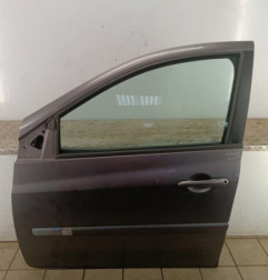 Porte avant gauche RENAULT CLIO 3 Photo n°1