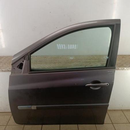 Porte avant gauche RENAULT CLIO 3 Photo n°1