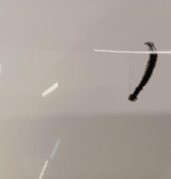 Pare choc arriere CITROEN DS3 Photo n°4