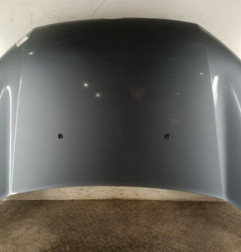 Capot FORD ECOSPORT Photo n°1