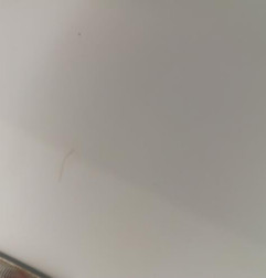 Aile avant droit CITROEN JUMPY 1 Photo n°3