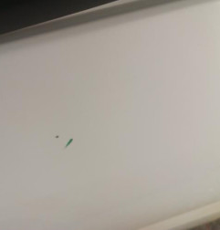 Porte avant droit CITROEN JUMPY 1 Photo n°5