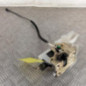 Serrure avant droit RENAULT CLIO 2