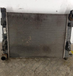 Radiateur eau DACIA DUSTER 1 Photo n°1