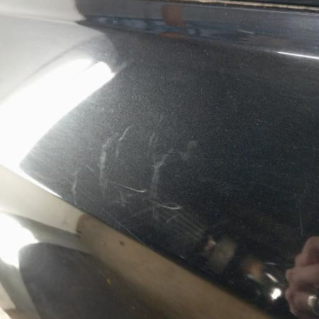 Porte avant gauche BMW X6 F16