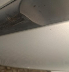 Porte arriere droit RENAULT CLIO 3 Photo n°5