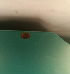 Capot CITROEN BERLINGO 1 Photo n°6