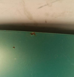 Capot CITROEN BERLINGO 1 Photo n°7