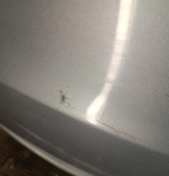 Pare choc avant FIAT GRANDE PUNTO Photo n°5