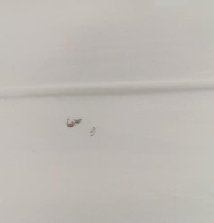 Pare choc arriere RENAULT CLIO 2 Photo n°7