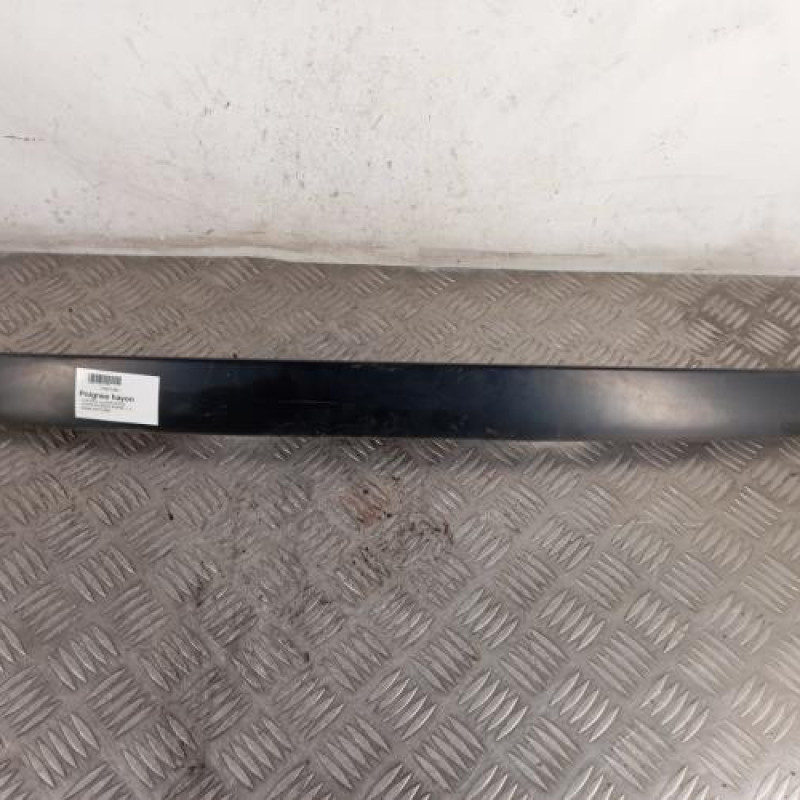 Poignee hayon CITROEN XSARA PICASSO