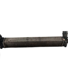 Echangeur air (Intercooler) RENAULT SCENIC 3 Photo n°1