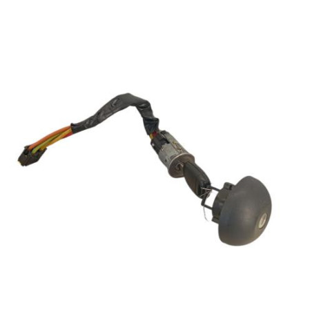 Neiman RENAULT CLIO 2 Photo n°1