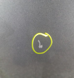 Porte arriere droit FORD ECOSPORT