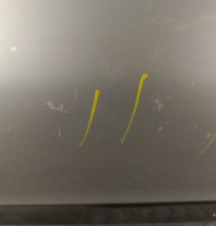 Porte avant gauche PEUGEOT 206 Photo n°5