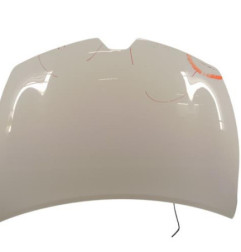 Capot RENAULT CLIO 4 Photo n°1