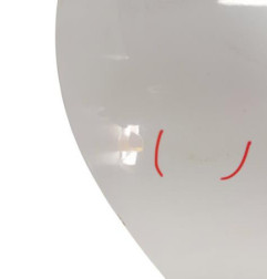 Porte arriere droit RENAULT CLIO 4 Photo n°3