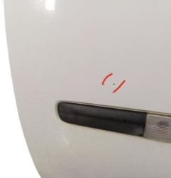 Porte avant gauche RENAULT CLIO 3