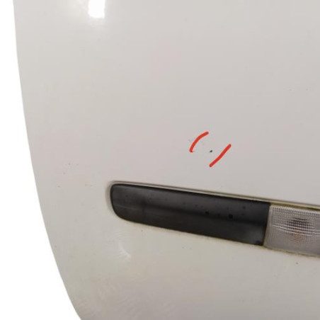 Porte avant gauche RENAULT CLIO 3