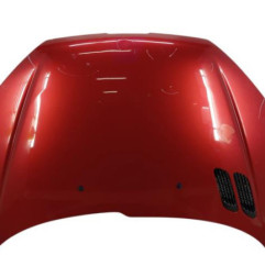 Capot PEUGEOT 206 Photo n°1