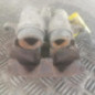 Etrier avant droit (freinage) FIAT DUCATO 2