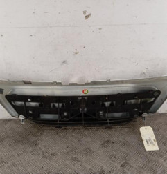 Calandre CITROEN C3 1 Photo n°5