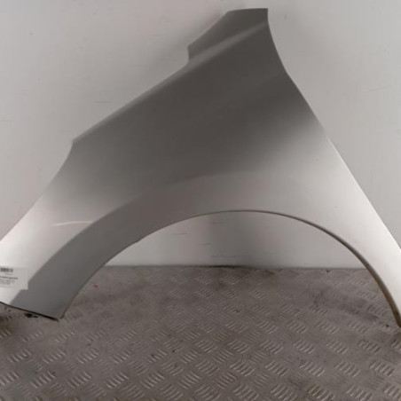 Aile avant gauche PEUGEOT 207 Photo n°1