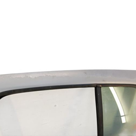 Porte arriere gauche RENAULT CLIO 2