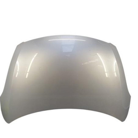 Capot SUZUKI SWIFT 4 Photo n°1