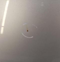 Capot SUZUKI SWIFT 4 Photo n°4