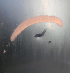 Capot RENAULT CLIO 2 Photo n°4