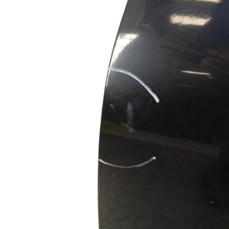 Porte avant gauche RENAULT CLIO 2