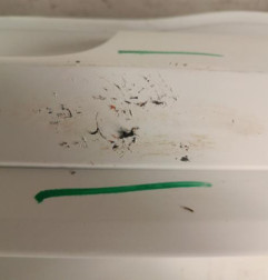 Pare choc arriere DACIA SANDERO 1 Photo n°6