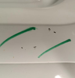 Pare choc arriere DACIA SANDERO 1 Photo n°7