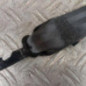 Ceinture avant gauche CITROEN C4 SPACETOURER