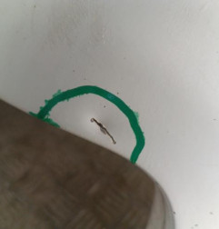 Aile avant gauche PEUGEOT BOXER 2