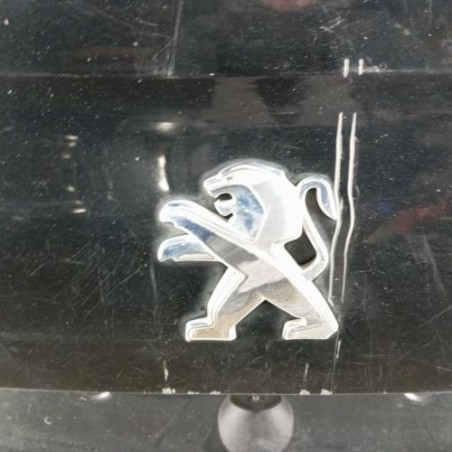 Malle/Hayon arriere PEUGEOT 508 1 SW