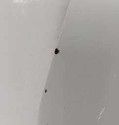 Capot RENAULT CLIO 4 Photo n°5