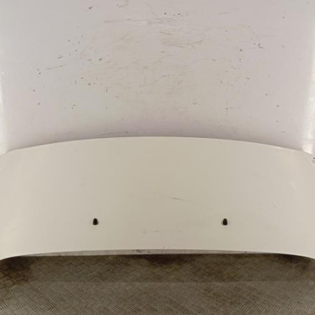 Capot PEUGEOT EXPERT 3 Photo n°1