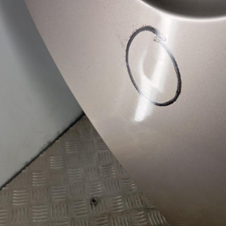 Porte arriere droit RENAULT CLIO 3