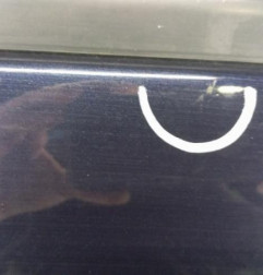 Porte avant droit DS DS3 Photo n°3