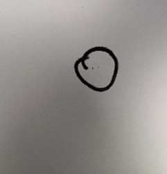 Capot RENAULT SCENIC 3