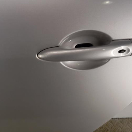 Porte arriere gauche RENAULT SCENIC 3