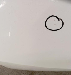 Malle/Hayon arriere RENAULT CLIO 3