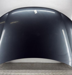 Capot VOLKSWAGEN EOS Photo n°1