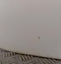 Porte arriere droit CITROEN C4 PICASSO 2