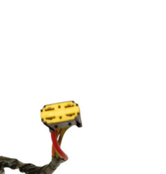 Neiman RENAULT CLIO 2 Photo n°3