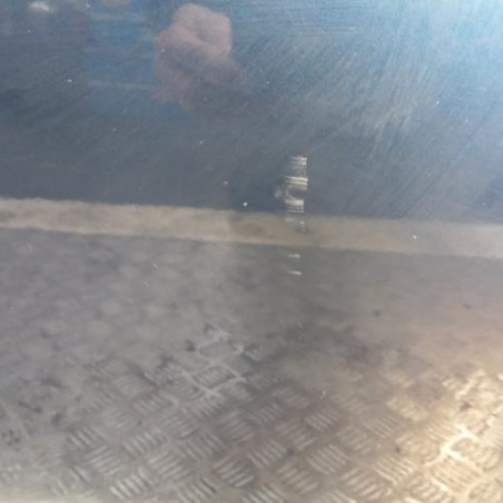 Porte arriere gauche DACIA SANDERO 2