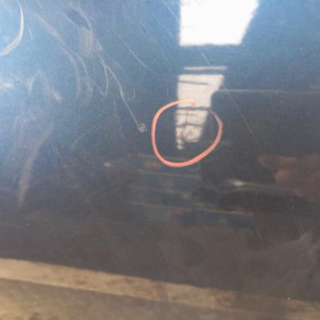 Porte avant droit DACIA SANDERO 2