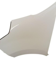 Aile avant gauche RENAULT MASTER 3 Photo n°1